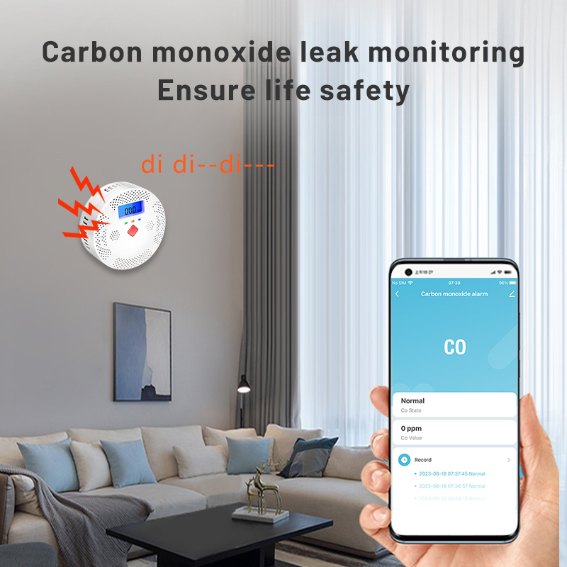Tuya WiFi Smart rilevatore di  - Co Detector Plug recensione e prezzo
