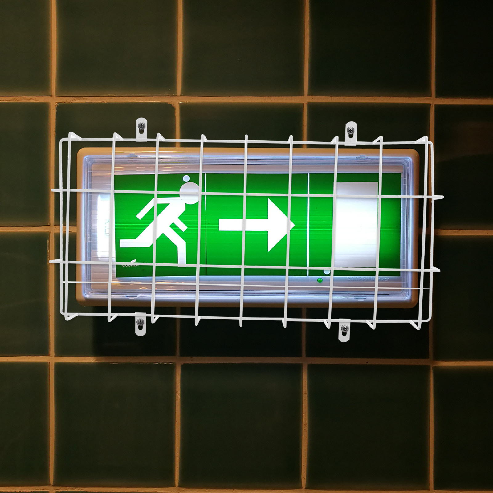 Gabbia Protettiva in Metallo p - Emergency Exit Sign recensione e prezzo