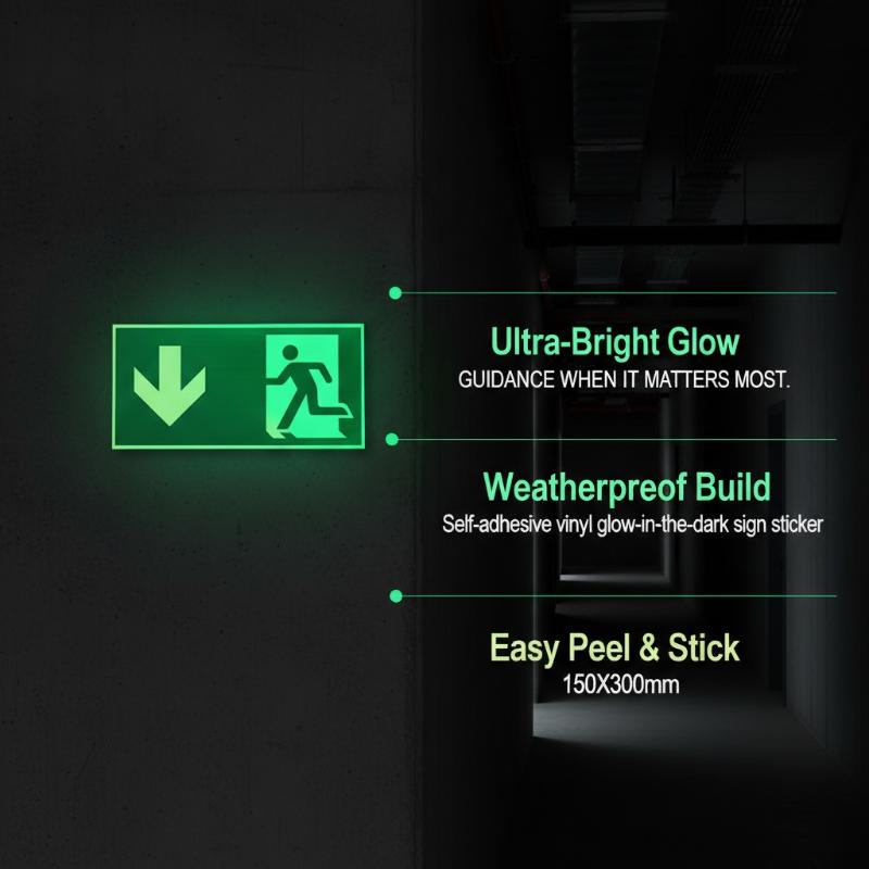 1 Foglio di Adesivi Luminosi p - Emergency Exit Sign recensione e prezzo